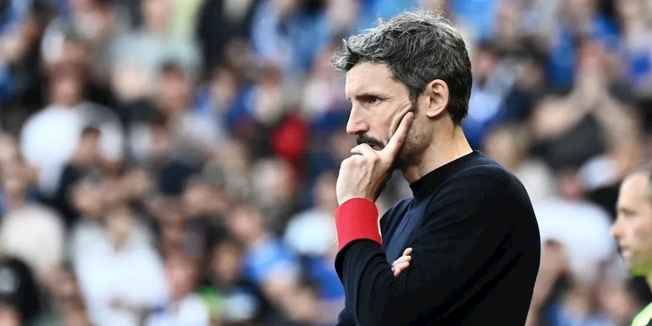 'Van Bommel kan rollen omdraaien: Benfica denkt aan ex-coach PSV en Antwerp'