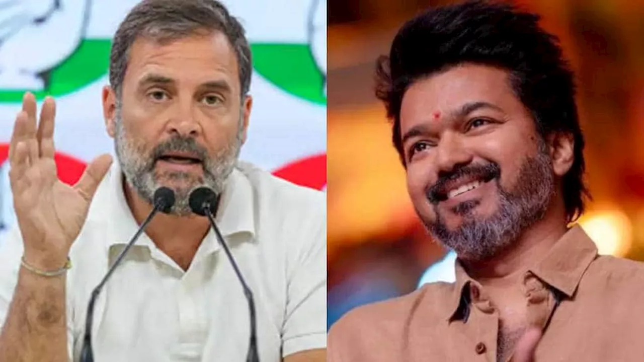 விஜய்யும் ராகுல் காந்தியும் என்ன பேசினார்கள்? காங்கிரஸ் தலைவர் பதில்!