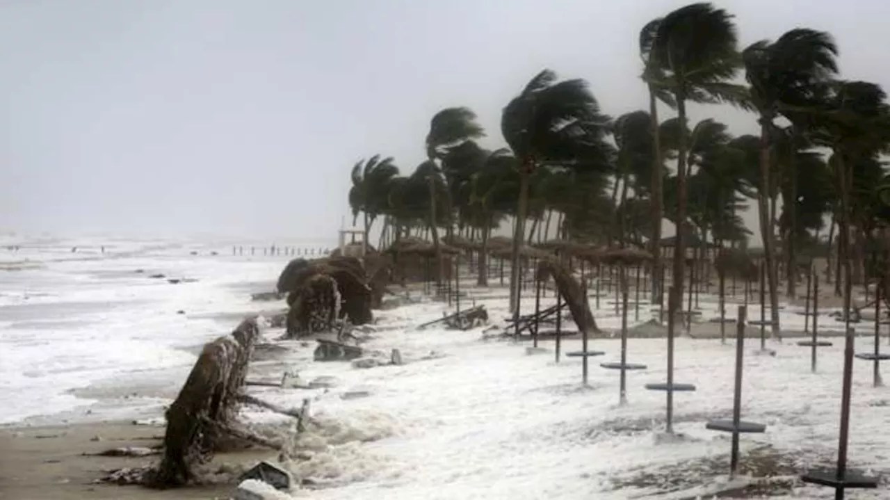 Kerala rain alert: അറബിക്കടലിൽ അപൂർവ ചുഴലിക്കാറ്റ്; ഇനി പെരുമഴ, ഇന്ന് 5 ജില്ലകളിൽ യെല്ലോ അലർട്ട്