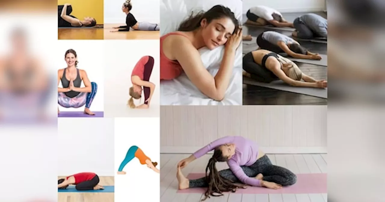 Yoga Tips: अगर आप भी खाना खाने के बाद करते हैं योगा, उससे पहले जान ले योगा के ये नियम