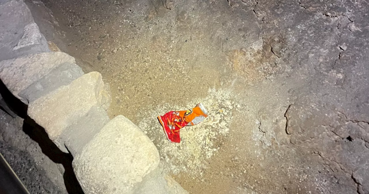 Dropped bag of Cheetos disrupted a whole ecosystem, national park officials explain