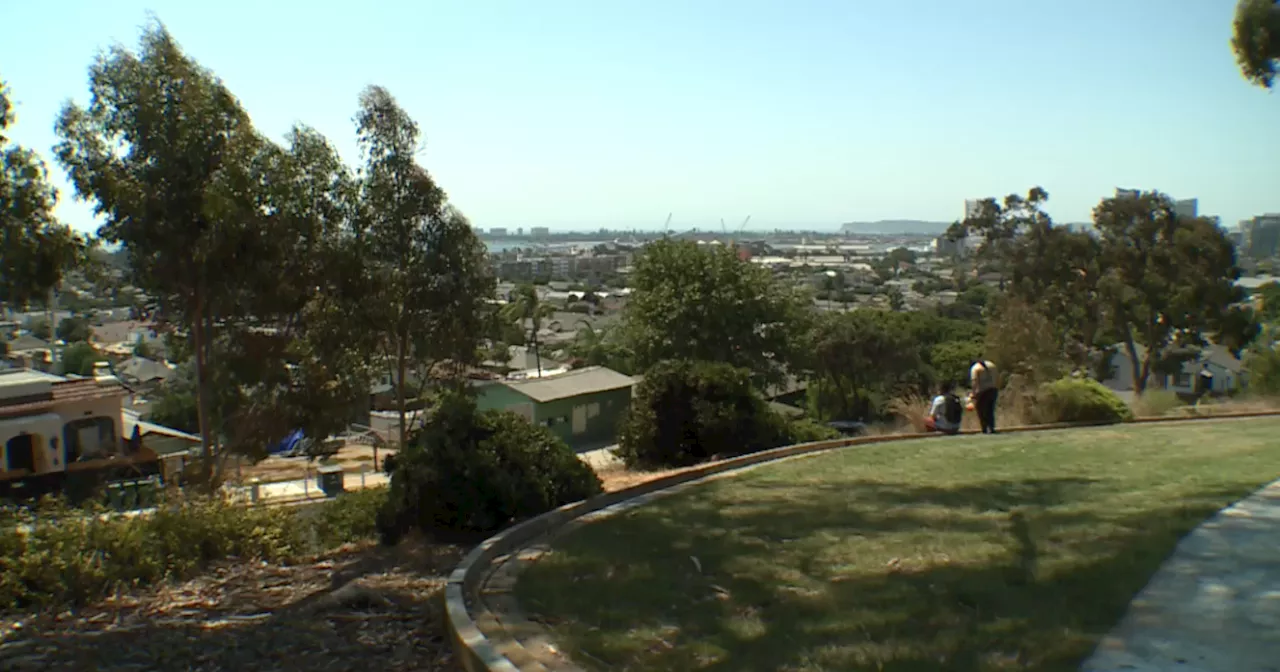 Local nonprofit aims to boost county’s canopy coverage amid rising temperatures