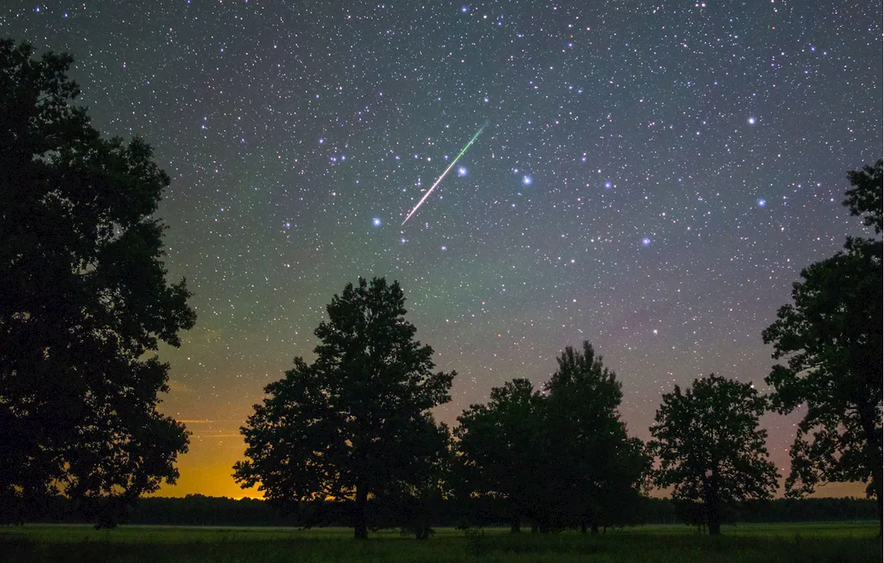 Un Canadien découvre une forme suspecte sur Google Maps, qui pourrait être un cratère de météorite XXL