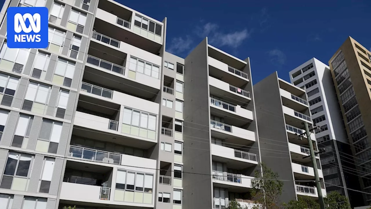 Higher towers, smaller homes, fewer car spaces recommended to solve NSW housing crisis