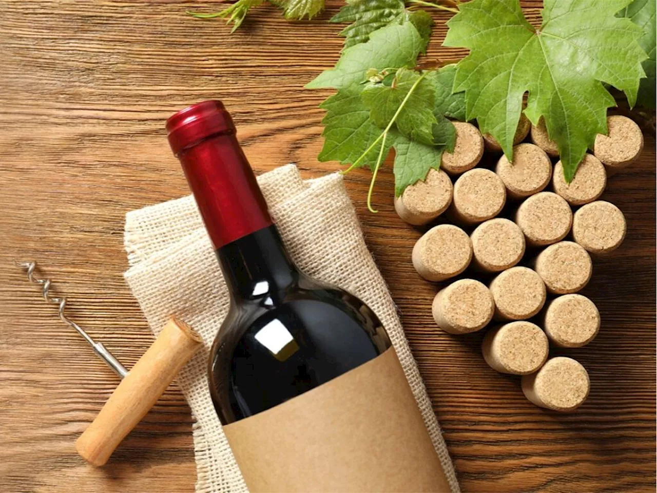 Foire aux Vins Leclerc : 5 pépites à saisir pour votre cave