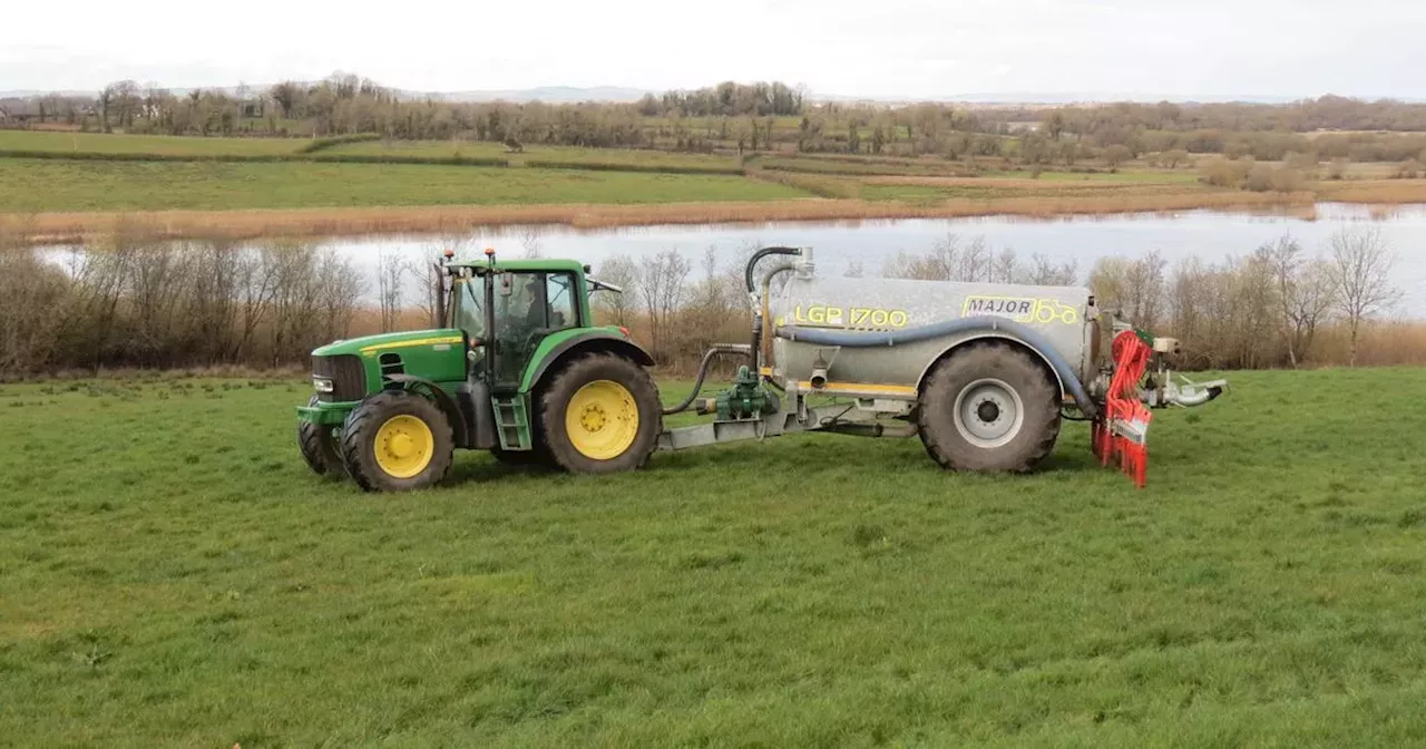 Farmers facing 'major hindrance' as Environment staff 'pulled' for Lough Neagh