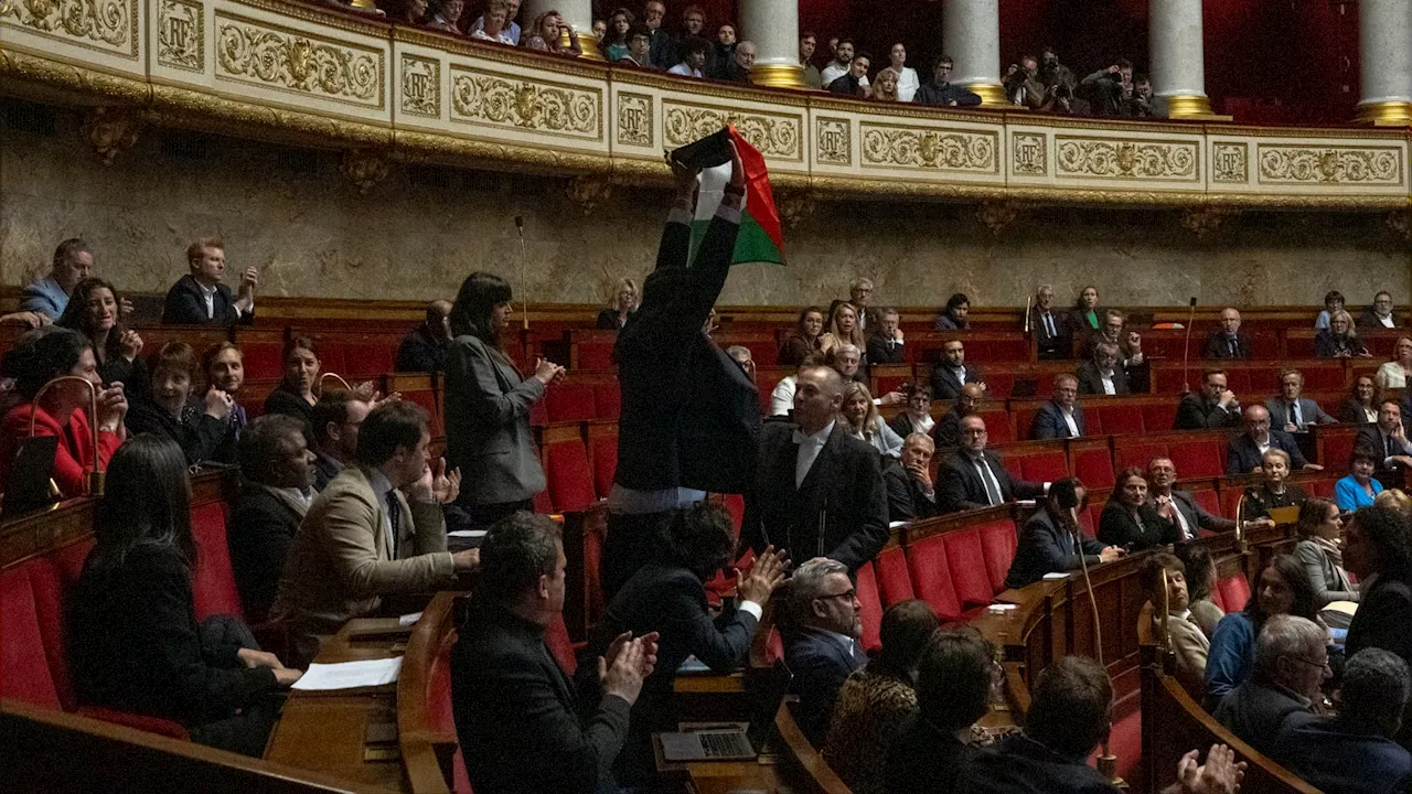 'Rendez-nous notre drapeau': Delogu demande à récupérer le symbole palestinien brandi à l'Assemblée