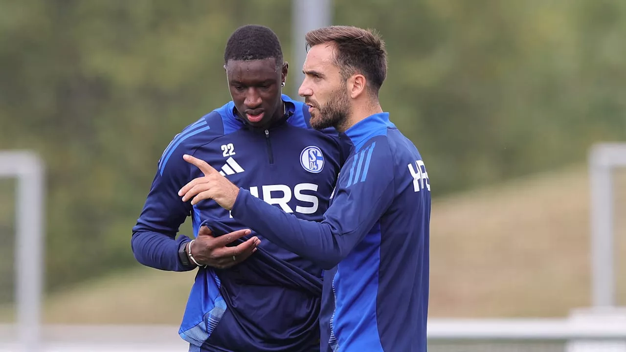 Schalke 04: Kann Karel Geraerts Cissé überhaupt noch aufstellen?