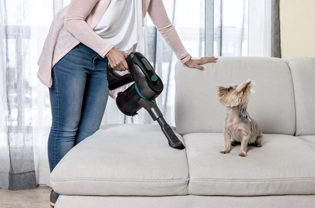 Reviewers Say This TikTok-Viral Portable Pet Vacuum ‘Picks Up So Much Dog Hair & Dirt’: Get Yours Now For Just $80