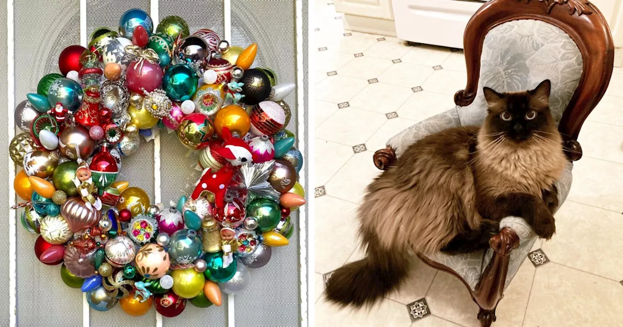 107 Lucky People Who Struck Gold While Shopping Secondhand