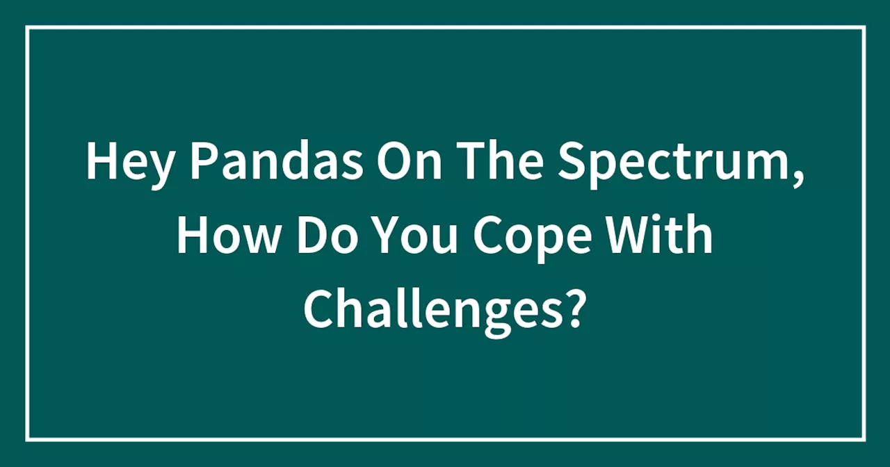 Hey Pandas On The Spectrum, How Do You Cope With Challenges?