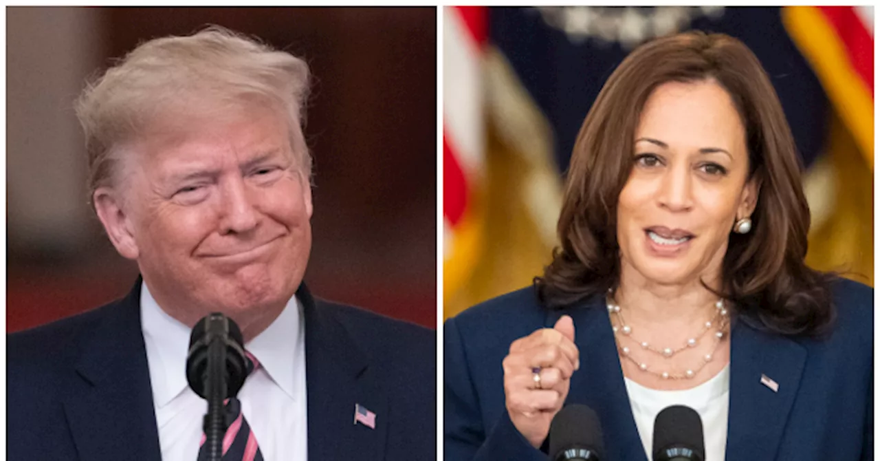 Breitbart Business Digest: How Trump Should Fight Back Against Harris on Tariffs