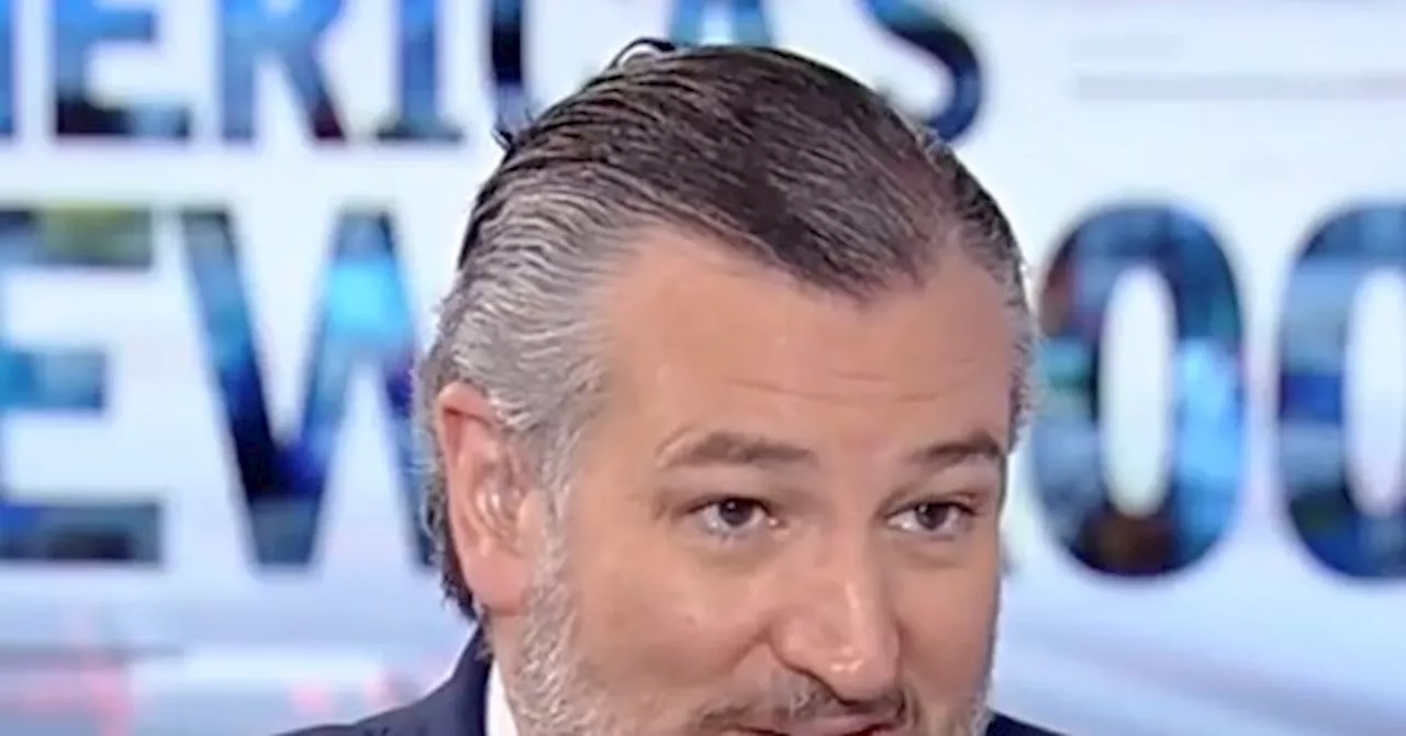 Sen. Cruz: If Harris Gets to the White House, She’ll Go ‘Hard, Hard Left’