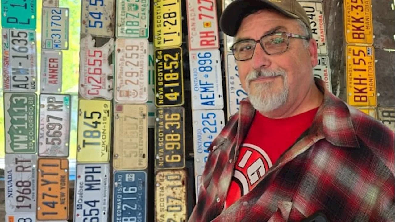 Thousands of N.B. licence plates — dumped in the woods — thrill collectors