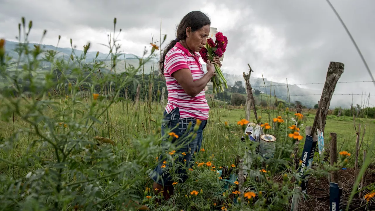 Colombia, nuevamente el país más peligroso para defensores ambientales