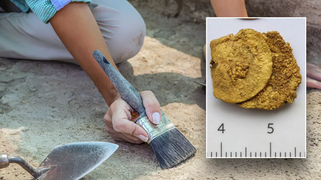 Archaeologists stumble upon priceless gold coins in unusual location