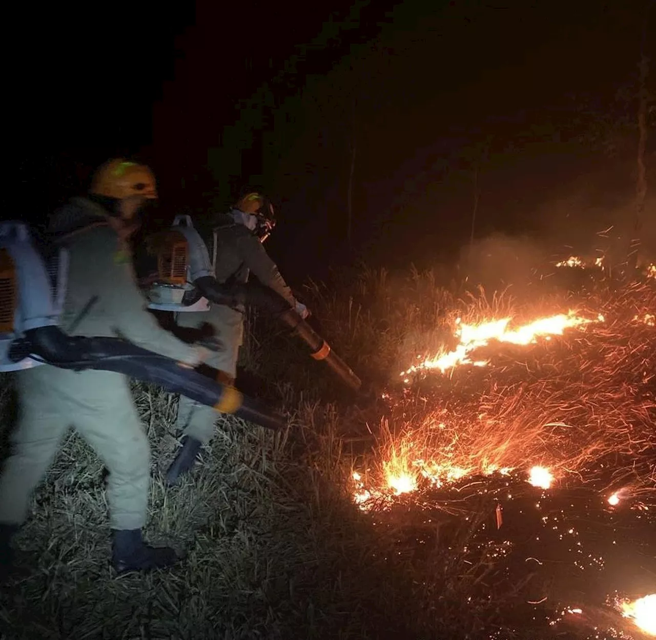 Em meio ao aumento de queimadas, Acre tem quantidade de bombeiros abaixo do recomendado pela ONU