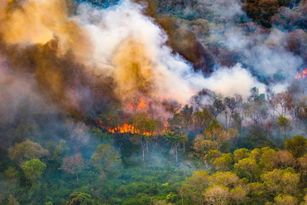 Ministério da Justiça busca bombeiros para Força Nacional após decisão do STF