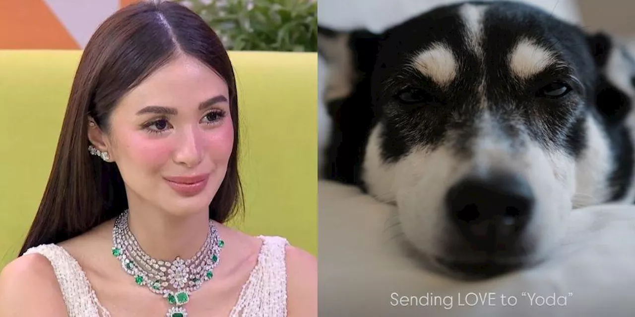 Heart Evangelista 'sends love' to Yoda the aspin