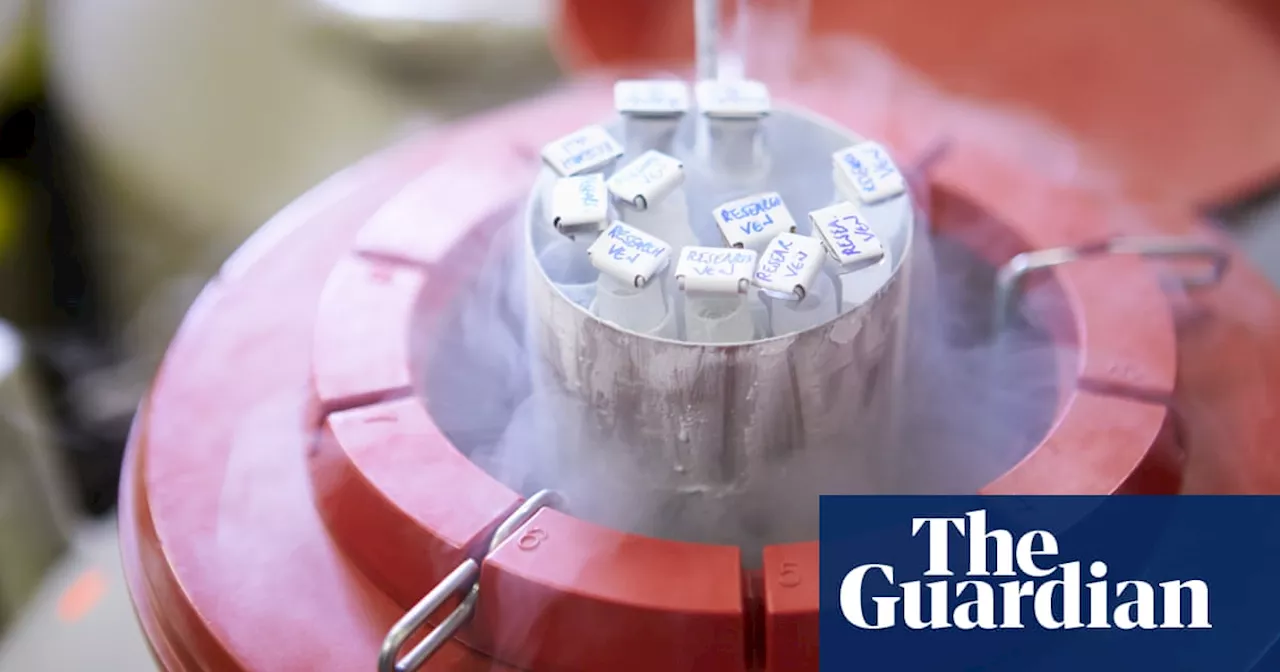 Queensland’s crackdown on IVF clinics fuels push for national donor registry