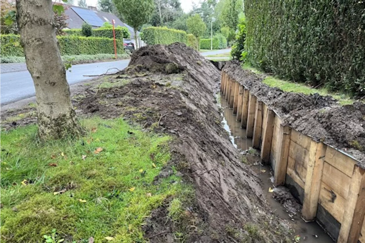 “Niet respectvol naar de bomen toe, maar ze gaan hier niet van dood”