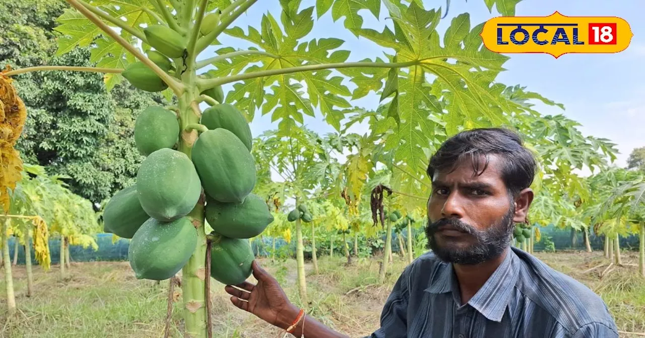 यूट्यूब से सीखा तरीका, फिर शुरू की इस फल की खेती, अब लाखों में हो रही है कमाई