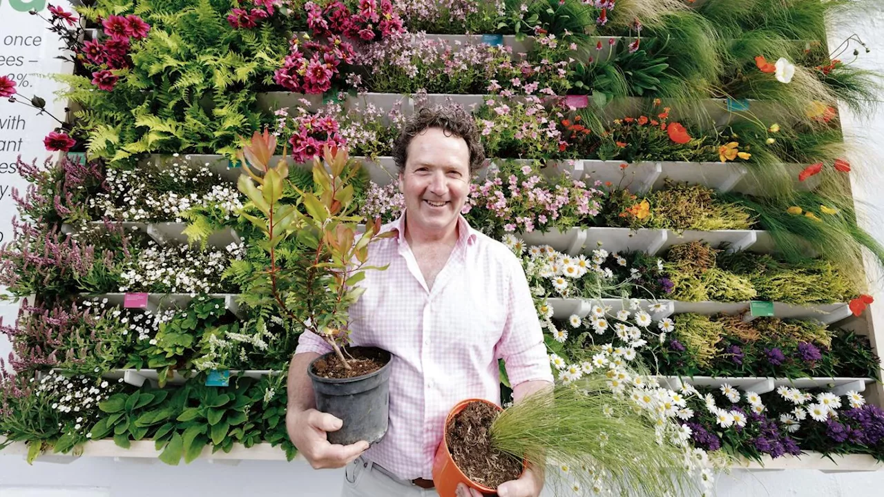 Diarmuid Gavin’s top tips: How to rewild your garden in six easy steps