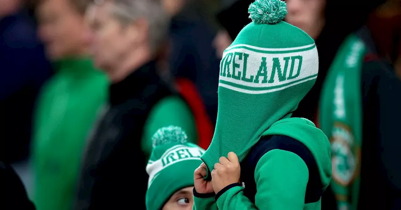 Heimir Hallgrimsson claims 'Ireland jersey is too heavy for some players'