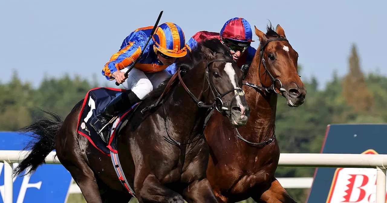 Economics favourite to break Aidan O’Brien’s run of Champion Stakes success