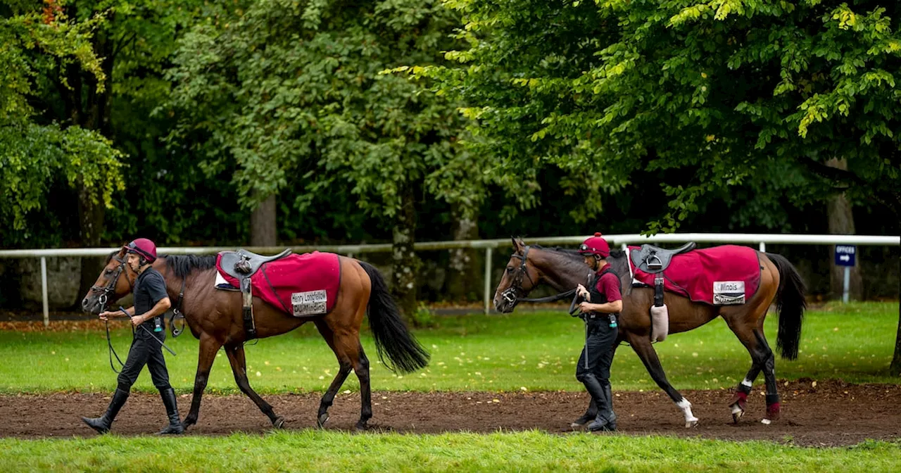 Illinois tops Leger betting as Ballydoyle team set to attack St Leger in force