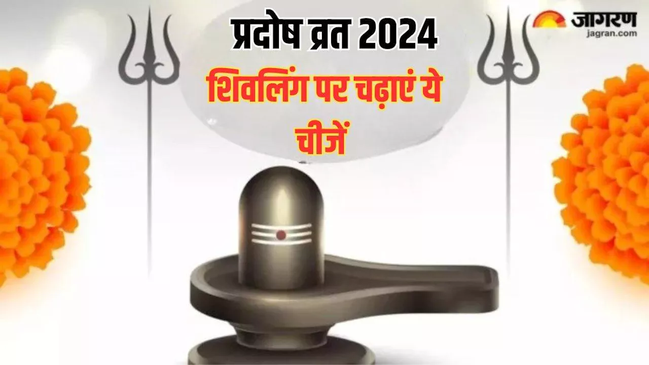 Pradosh Vrat 2024: प्रदोष व्रत के दिन शिवलिंग पर अर्पित करें विशेष चीजें, जल्द मिलेगा मनचाहा जीवनसाथी