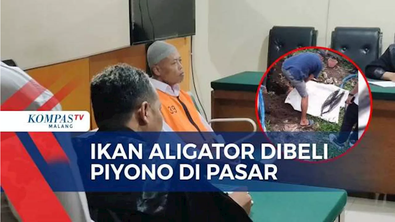 Gegara Pelihara Ikan Aligator, Kakek di Kota Malang Dipenjara