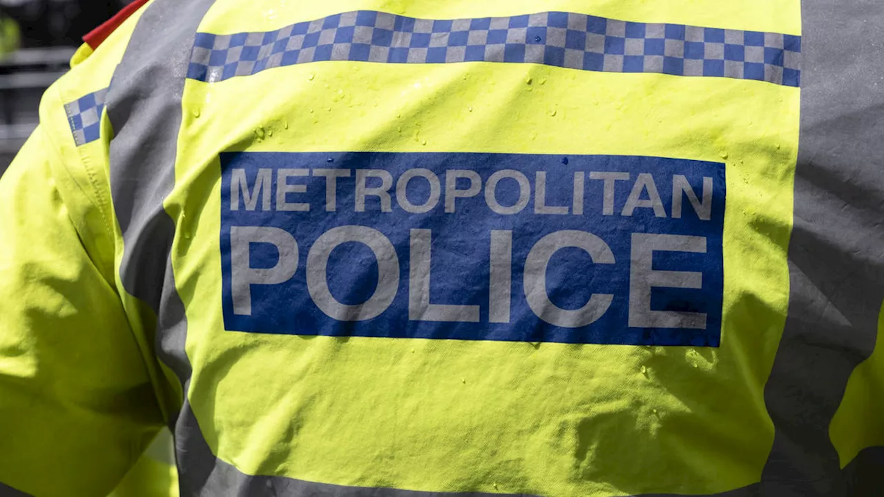 Metropolitan Police constable sacked after using antisemitic language at work