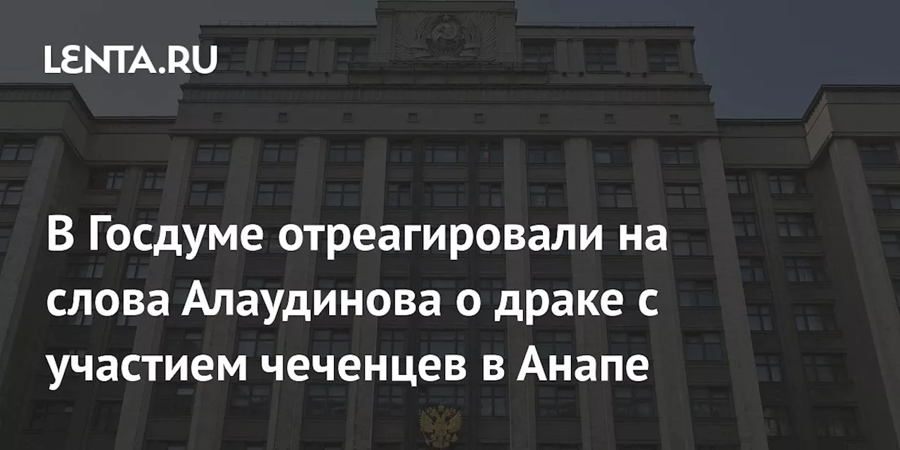 В Госдуме отреагировали на слова Алаудинова о драке с участием чеченцев в Анапе