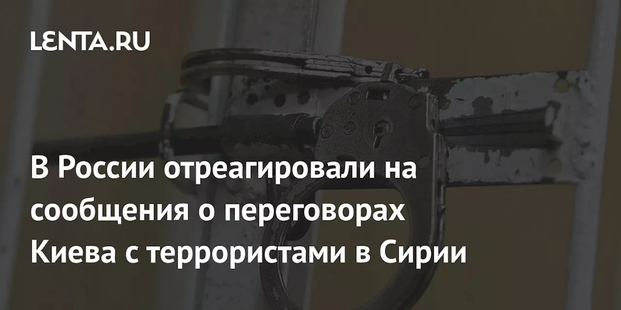 В России отреагировали на сообщения о переговорах Киева с террористами в Сирии