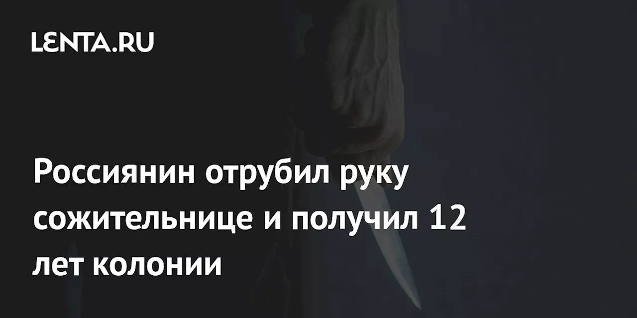 Россиянин отрубил руку сожительнице и получил 12 лет колонии