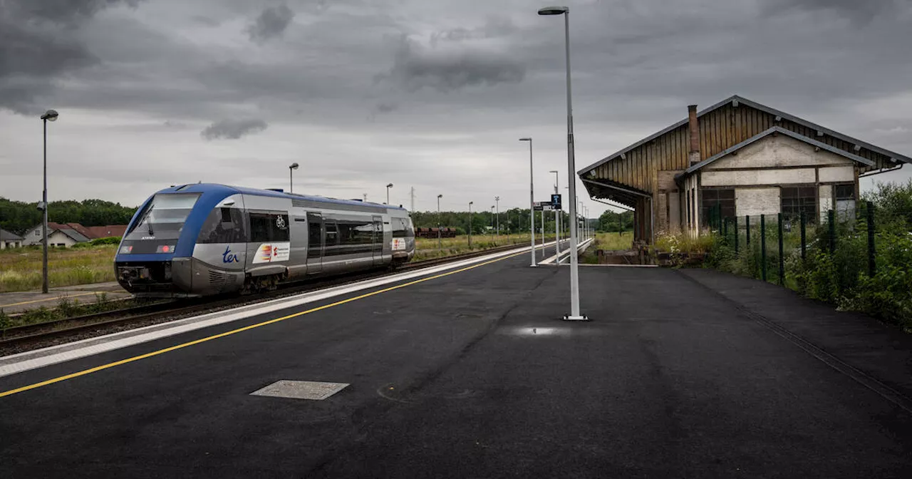 SNCF : un TER sur cinq supprimé ou en retard en 2023, selon UFC-Que choisir