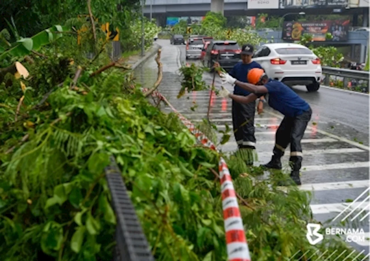 Kelantan Fire Dept records 23 fallen tree incidents in five days as strong winds and rain persist