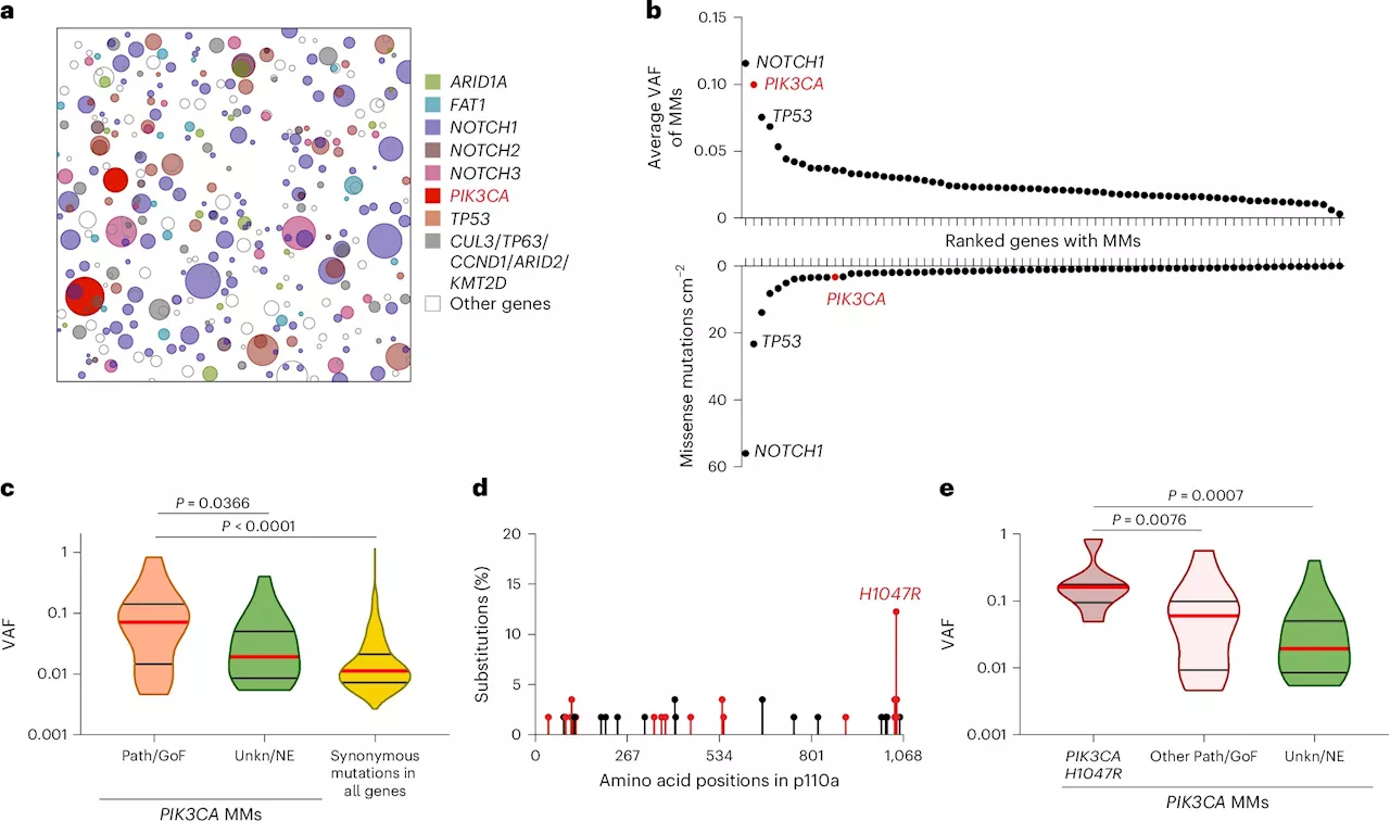 Common diabetes drug slows growth of normal cells carrying cancer mutation, finds study