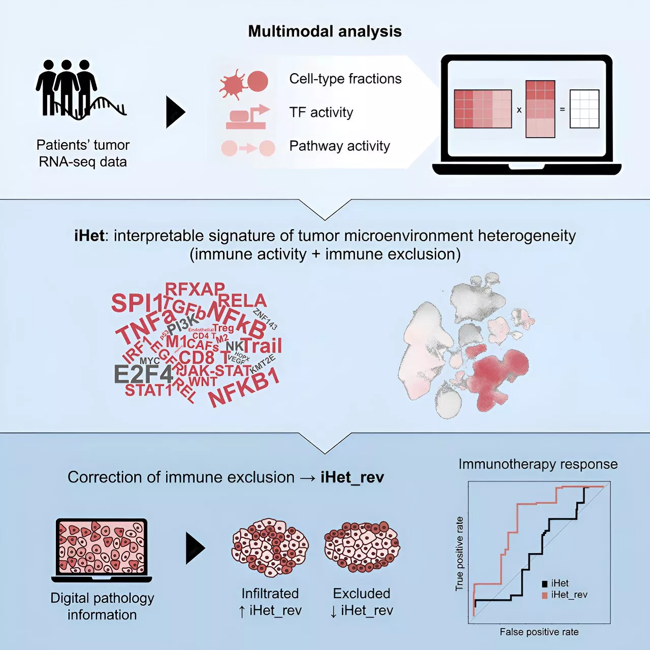 New multimodal signature could predict immunotherapy success