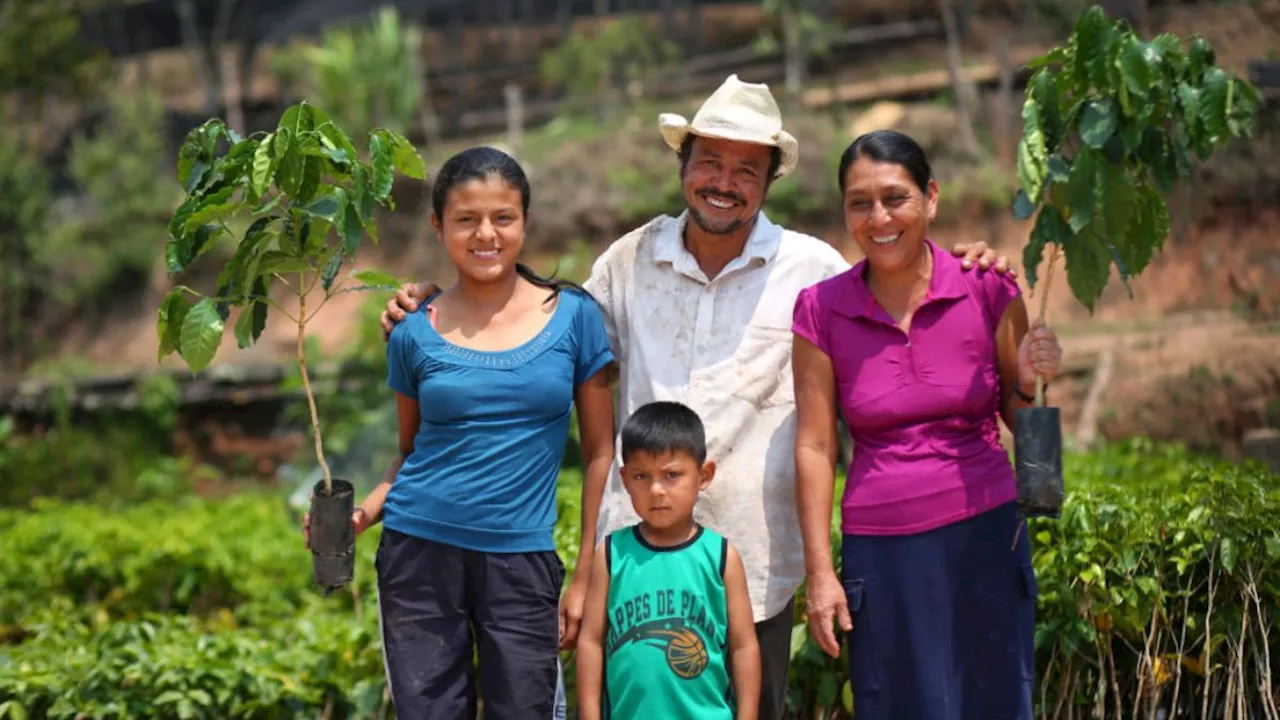 Starbucks impulsa a más de 12 mil caficultores mexicanos con “Todos Sembramos Café”