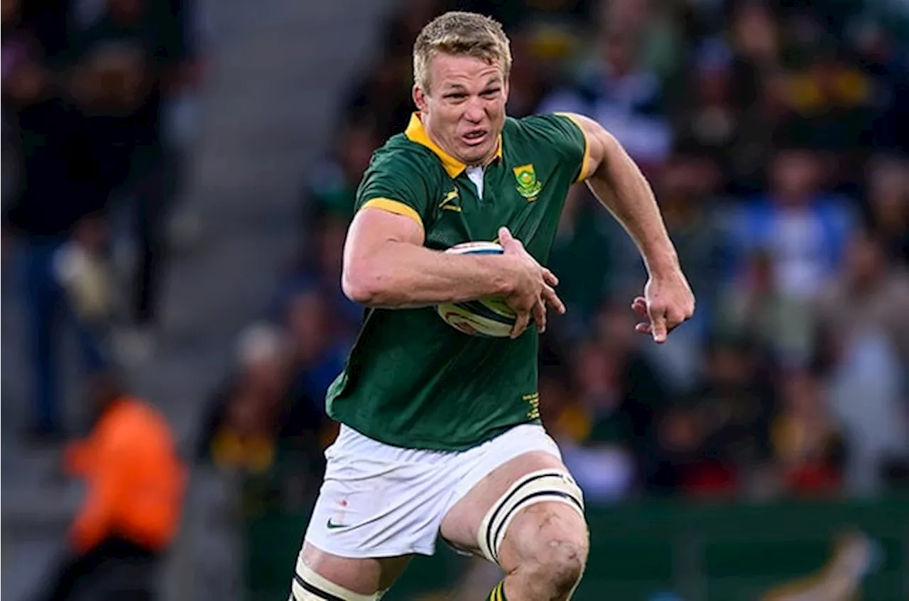 No Pieter-Steph, Sacha as Springboks rest big names for Argentina trip