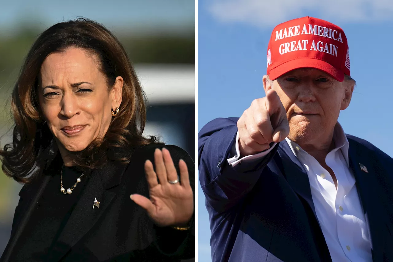 Donald Trump Sees Major Swing Over Kamala Harris Among Two Key Voter Groups