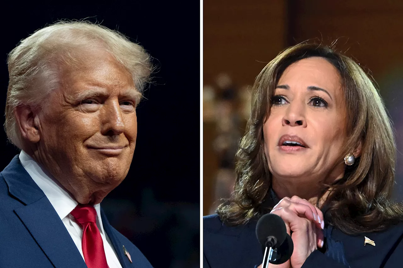 What Polls Say Ahead of Kamala Harris, Donald Trump Debate