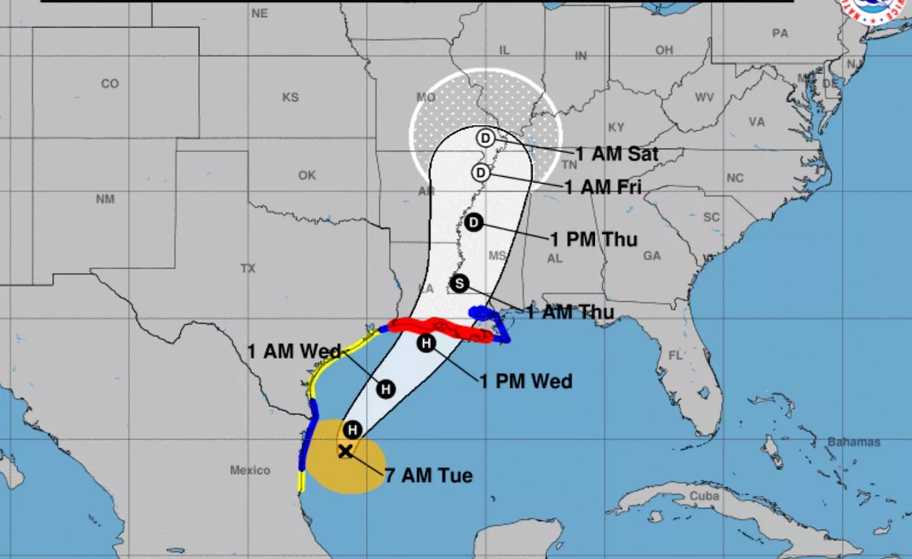 Tropical Storm Francine forecast to strengthen into hurricane today before slamming Gulf Coast