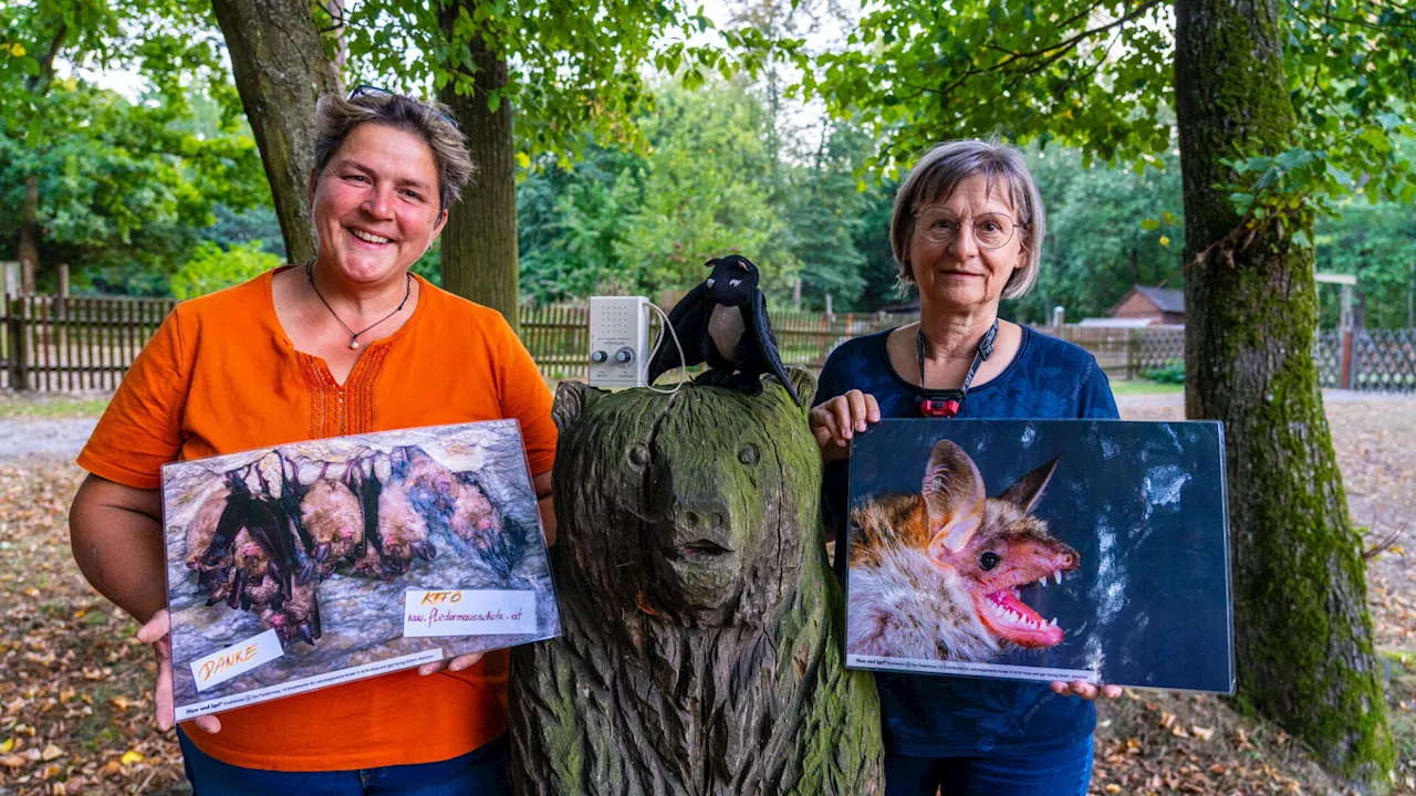 Mit Verein KFFÖ den Fledermäusen im Naturpark Geras auf der Spur