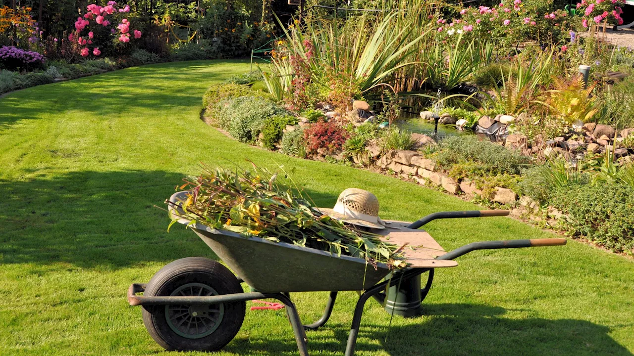 Que faut-il faire dans votre jardin à l'approche de l'automne ?