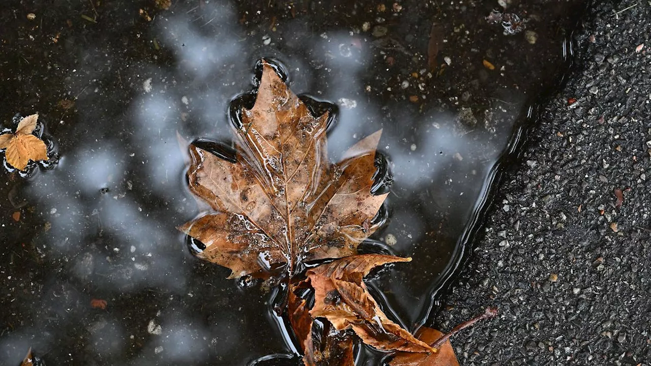 Baden-Württemberg: Wetterdienst rechnet mit Dauerregen im Schwarzwald