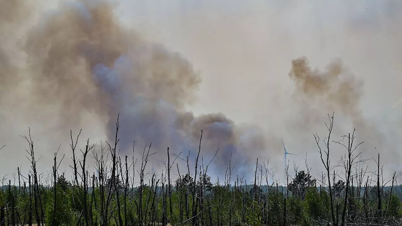 Berlin & Brandenburg: Brandenburg erlebt Woche mit den meisten Waldbränden