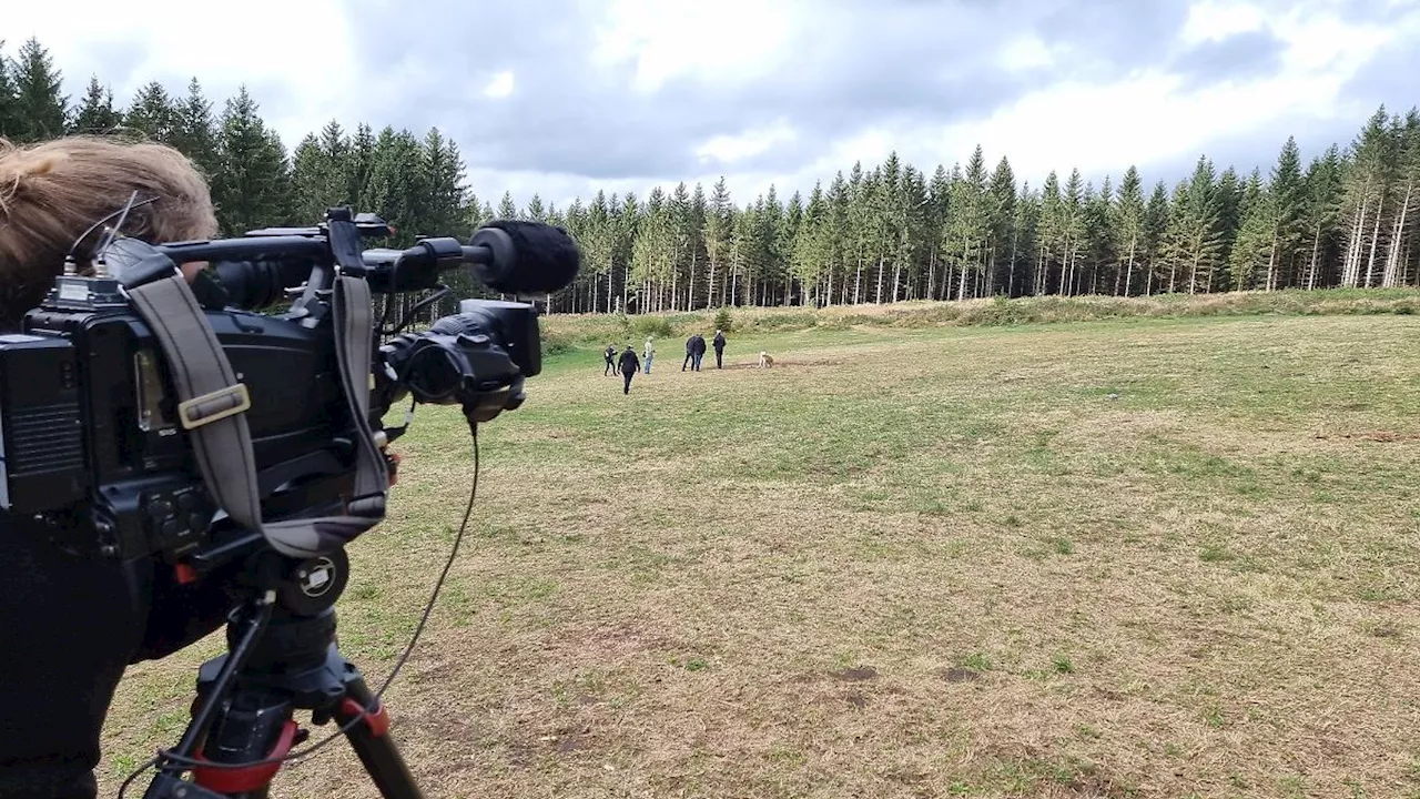 Niedersachsen & Bremen: Bilanz zu illegalem Camp: Waldbrandgefahr war extrem hoch